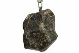 Stony Chondrite Meteorite ( g) Keychain #238156-1